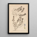 Herbier de la flore française Pl0879 - Louis Antoine Cusin — gerahmtes Bild an der Wand
