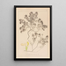 Herbier de la flore française Pl0912 - Louis Antoine Cusin — gerahmtes Bild an der Wand
