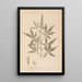 Herbier de la flore française Pl0918 - Louis Antoine Cusin — gerahmtes Bild an der Wand