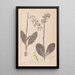 Herbier de la flore française Pl1006 - Louis Antoine Cusin — gerahmtes Bild an der Wand