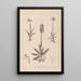 Herbier de la flore française Pl1022 - Louis Antoine Cusin — gerahmtes Bild an der Wand