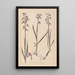 Herbier de la flore française Pl1034 - Louis Antoine Cusin — gerahmtes Bild an der Wand