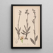 Herbier de la flore française Pl1050 - Louis Antoine Cusin — gerahmtes Bild an der Wand