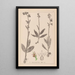 Herbier de la flore française Pl1054 - Louis Antoine Cusin — gerahmtes Bild an der Wand