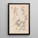 Herbier de la flore française Pl1073 - Louis Antoine Cusin — gerahmtes Bild an der Wand