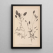 Herbier de la flore française Pl1074 - Louis Antoine Cusin — gerahmtes Bild an der Wand