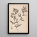 Herbier de la flore française Pl1080 - Louis Antoine Cusin — gerahmtes Bild an der Wand
