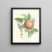 Gallo-Bayeux - Louis Bocquet — gerahmtes Bild an der Wand