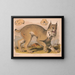 Lynx du Canada - Louis Prang Co — gerahmtes Bild an der Wand