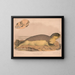 Phoque commun Phoca vitulina - Louis Prang Co — gerahmtes Bild an der Wand