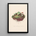 Lichens à gobelet - Louis Prang Co — gerahmtes Bild an der Wand