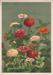 Blumen - Louis Prang Co — Ansicht des Kunstwerks