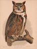 Eulenkauz - Louis Prang Co — Ansicht des Kunstwerks