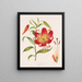 Lys et ses parties - Louis Prang Co — gerahmtes Bild an der Wand