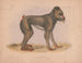 Mormon Maimon Gray - Louis Prang Co — Ansicht des Kunstwerks