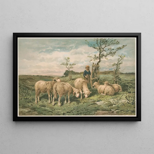 Studie von Schafen nach F. Brissot - Louis Prang Co — gerahmtes Bild an der Wand