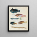 Fische, Flusskrebse und Krabben in verschiedenen Farben und außergewöhnlichen Figuren Pl018 - Louis Renard — gerahmtes Bild an der Wand