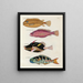 Fische, Flusskrebse und Krabben in verschiedenen Farben und außergewöhnlichen Figuren Pl028 - Louis Renard — gerahmtes Bild an der Wand