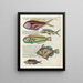 Fische, Flusskrebse und Krabben in verschiedenen Farben und außergewöhnlichen Figuren Pl045 - Louis Renard — gerahmtes Bild an der Wand