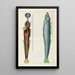 Fische, Flusskrebse und Krabben in verschiedenen Farben und außergewöhnlichen Figuren Pl085 - Louis Renard — gerahmtes Bild an der Wand