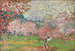 Kirschblüten in Cagnes - Louis Valtat — Ansicht des Kunstwerks