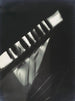 Photogramm - László Moholy-Nagy — Ansicht des Kunstwerks