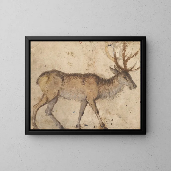 Studie eines Hirsches - Lucas Cranach der Ältere — gerahmtes Bild an der Wand