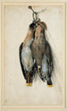 Zwei böhmische Geschwistervögel, gestorben - Lucas Cranach der Ältere — Ansicht des Kunstwerks