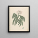 Albizia gummifera J. F. Gmel. & C. A. Sm. - Luigi Balugani — Ansicht des Kunstwerks