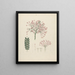 Albizia gummifera J. F. Gmel. & C. A. Sm. - Luigi Balugani — gerahmtes Bild an der Wand