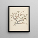 Commiphora gileadensis L. C. Chr. - Luigi Balugani — gerahmtes Bild an der Wand