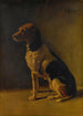 Hund sitzend - M Gurcin — gerahmtes Bild an der Wand