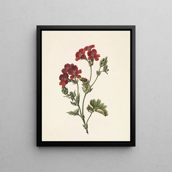 M de Gijselaar - Rode bloem.webp