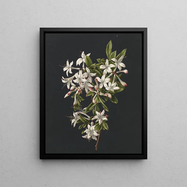 M de Gijselaar - Tak van een bloeiende azalea.webp