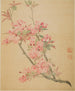 Wildapfelblüten - Ma Yuanyu — Ansicht des Kunstwerks