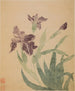 Iris - Ma Yuanyu — Ansicht des Kunstwerks