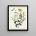 Stillleben mit Blumen - Machtelt Moninckx — gerahmtes Bild an der Wand