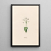 Baerobren - Magdalena Rosina Funck — gerahmtes Bild an der Wand