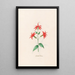 Fleur de cardinal - Magdalena Rosina Funck — gerahmtes Bild an der Wand