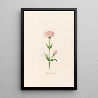 Magdelena Rosina Funck - Gef Marien Rsslein.webp