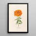 Magisches Doppeltableau Lys - Magdalena Rosina Funck — gerahmtes Bild an der Wand