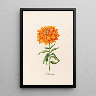 Magdelena Rosina Funck - Geflte Feer Lilia Lily.webp