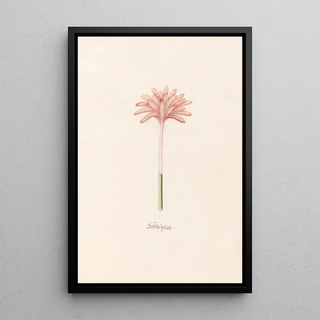 Magdelena Rosina Funck - Geflte Zeitloss.webp