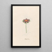 Blumen des Glücks - Magdalena Rosina Funck — gerahmtes Bild an der Wand