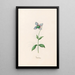 Garten in Blumen - Magdalena Rosina Funck — gerahmtes Bild an der Wand