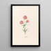 Leucojum - Magdalena Rosina Funck — gerahmtes Bild an der Wand