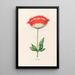 Mohnblumen - Magdalena Rosina Funck — gerahmtes Bild an der Wand