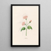 Nicotiana - Magdalena Rosina Funck — gerahmtes Bild an der Wand