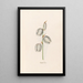 Fuchsia spanisch - Magdalena Rosina Funck — gerahmtes Bild an der Wand