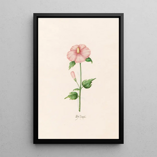 Magdelena Rosina Funck - Sr Pappel.webp